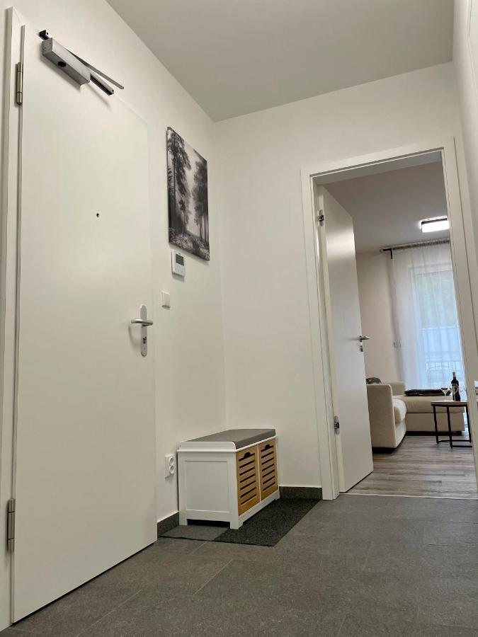 Apartman Pod Sneznikem Dolni Morava Exterior photo